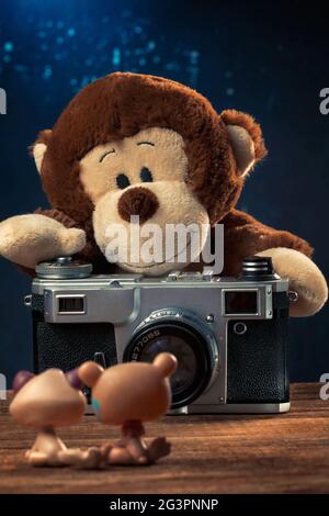 Scimmia peluche con una vecchia macchina fotografica che fotografa gli animali giocattolo Foto Stock