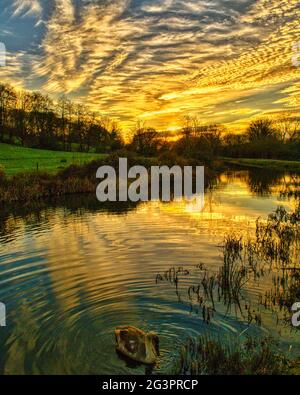 Tramonto a Lacock, Inghilterra Foto Stock