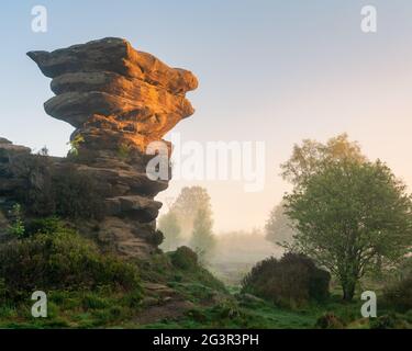 Una guglia rocciosa intemperie è riscaldata dalla prima luce diretta del sole a Brimham Rocks in una nebbiosa mattina di primavera nel Nord Yorkshire. Foto Stock