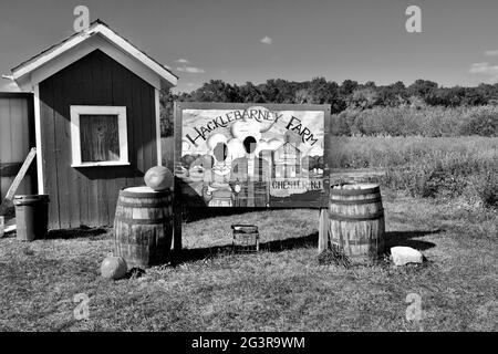 Hacklebarney Farm, Chester, New Jersey, Stati Uniti. Fattoria stagionale per mele, zucche, mais, è un "pick your own" o PYO fattoria. Foto Stock