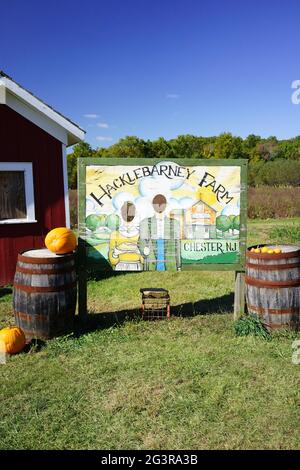 Una tavola da stand-in foto per due persone per farti apparire come American Gothic Farmers.Hacklebarney Farm, Chester New Jersey, USA. Fattoria stagionale Foto Stock