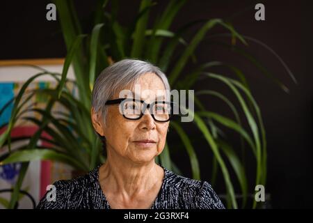Ritratto di donna anziano che indossa occhiali a casa con piante Foto Stock