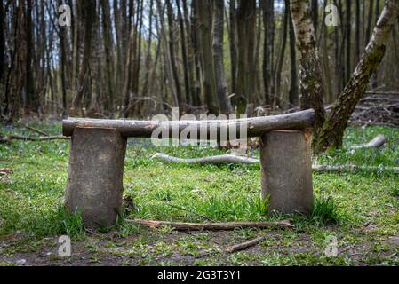 Panca rustica fatta da tronchi d'albero nella radura della foresta Foto Stock