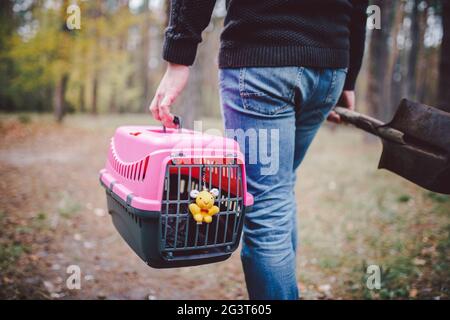 Uomo ancora in foresta trasportando la scatola di trasporto all'interno con animale domestico morto e pala per seppellire l'animale in legno. Perdita dell'animale domestico in autunno. Maschio Foto Stock