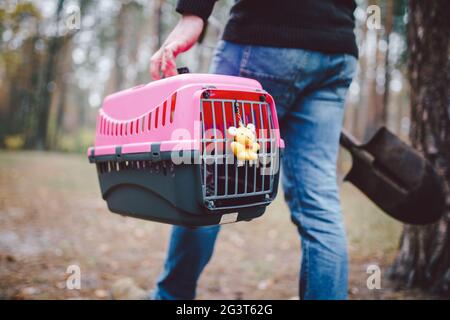 Uomo ancora in foresta trasportando la scatola di trasporto all'interno con animale domestico morto e pala per seppellire l'animale in legno. Perdita dell'animale domestico in autunno. Maschio Foto Stock