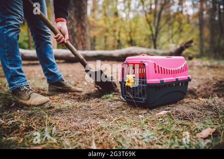 Scena Spooky al cimitero degli animali domestici. La tomba di amici animali perduti. Compagnia, addio. Un uomo porta un animale domestico morto in una carrie Foto Stock
