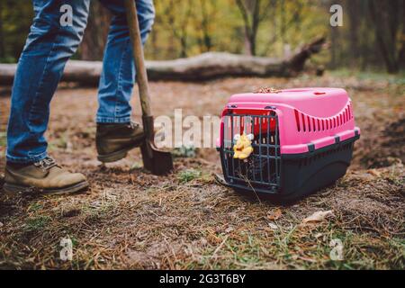 Scena Spooky al cimitero degli animali domestici. La tomba di amici animali perduti. Compagnia, addio. Un uomo porta un animale domestico morto in una carrie Foto Stock