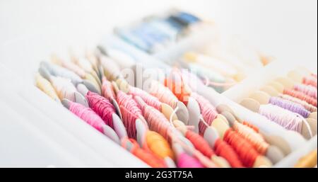 Set di fili di cotone multicolore in scatola di plastica per il ricamo artigianale di cotone Foto Stock