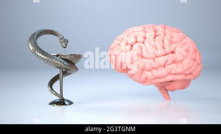 Neuroscienze mediche Foto Stock