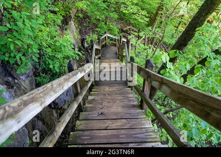 Ripide scalinate di legno che conducono in una foresta - prese al Parco Statale ha ha Tonka sul sentiero primaverile Foto Stock