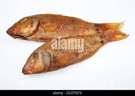 Pesce isolato Foto Stock