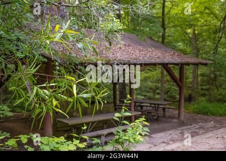 Rifugio per picnic a lato del Trailside all'Island Ford Park nell'area ricreativa nazionale del fiume Chattahoochee a Sandy Springs, appena a nord di Atlanta, Georgia. (STATI UNITI) Foto Stock