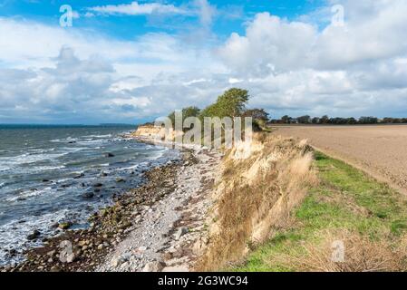 Costa Cliffed nel sud-est dell'isola di Fehmarn Foto Stock