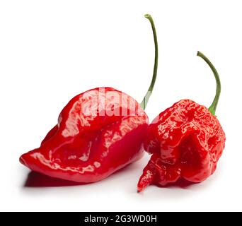 Carolina Reaper, il peperoncino più caldo Capsicum chinense, intero baccello maturo, isolato su sfondo bianco. Superhot o estremamente Foto Stock