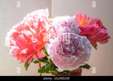 Bouquet di peonie rosa in tonalità rosa chiaro e scuro. Foto Stock