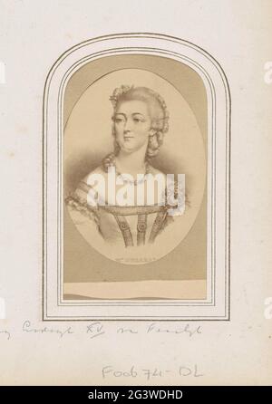 Produzione fotografica di (presumibilmente) un ritratto dipinto di Madame du Barry, maîtresse da re Luigi XV di Francia; Mme. Dubryry. Parte dell'album fotografico con 123 Cartes-de-Visite di membri di case reali europee, politici e personaggi famosi. Foto Stock