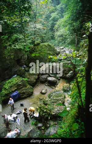 FRANCIA, PIRENEI ATLANTICI (64) PAESI BASCHI. LA SOULE. ALL'ALTITUDINE DI 630M, IL VILLAGGIO DI SANT'ENGRACE VIVE GRAZIE ALL'ALLEVAMENTO DI PECORE Foto Stock