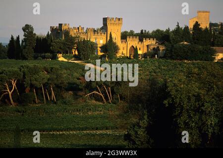 FRANCIA. VAUCLUSE (84) REGIONE PROVENZA. CHATEAU-NEUF-DU-PAPE VILLAGGIO. IL CASTELLO DELLE MULTE ROCHES E VIGNETI Foto Stock