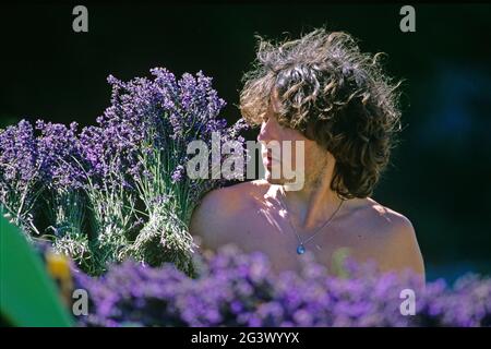 VAUCLUSE (84) VILLAGGIO DI SAULT. PARADE LORS DE LA FETE DE LA LAVANDEDROME (26) REGIONE DROME PROVENCALE . FERRASSIERES. RACCOGLIERE BOUQUET DI LAVANDA Foto Stock