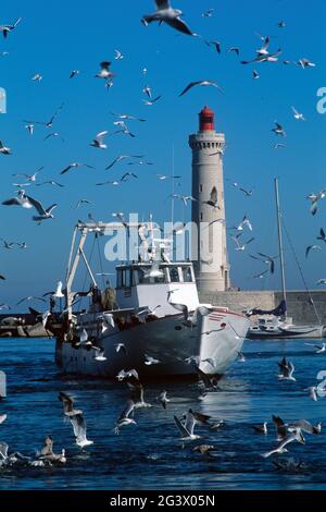 FRANCIA HERAULT (34) SETE. BACINO DEL VECCHIO PORTO, IL RITORNO DEI PESCATORI CIRCONDATO DA GABBIANI. IL FARO SULLO SFONDO Foto Stock