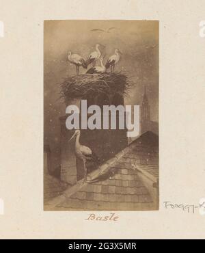 Produzione fotografica (presumibilmente) di un disegno che rappresenta cicogne sul loro nido nella città di Basilea; Basilea. Parte dell'album di viaggio con foto di Svizzera, Austria, Italia e Germania. Foto Stock