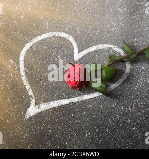 Buon San Valentino. Sfondo congratulatorio con il fiore di rose Foto Stock