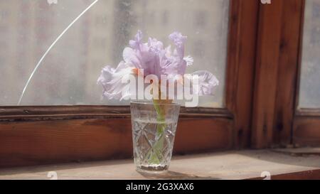 Iris in vetro. Fiore di iride su vecchio davanzale di legno stagionato con finestra spaccata su sfondo. Luce diurna attraverso la finestra. Petali di fiori sottili. Stile retro p Foto Stock