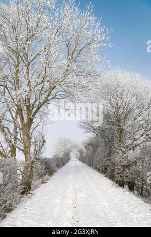 Sentiero coperto di neve (su ferrovia disutilizzata) ai confini scozzesi Foto Stock