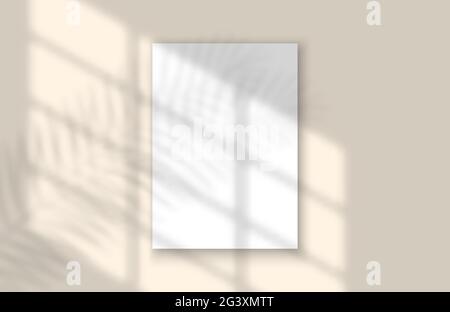 Modello Shadow Mock Up per finestra e foglia. Foglia tropicale e luce da mockup finestra overlay per social media, banner e pubblicità. VECTO Illustrazione Vettoriale