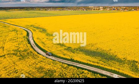 Vista aerea di Auto SUV parcheggiato vicino a Countryside Road in Spring Field Rural Landscape. Fiore ravizzone in fiore, semi oleosi in campo prato in primavera Foto Stock