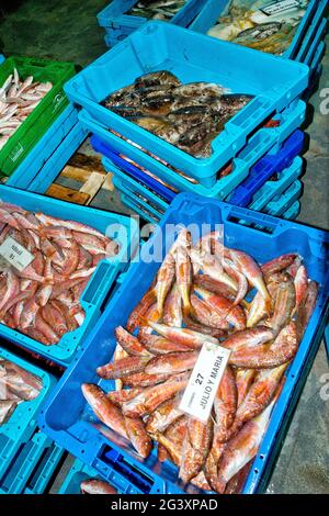 Cesti di pesce nel mercato del pesce, porto di pesca, Mar Mediterraneo, Aguilas, Murcia, Región de Murcia, Spagna, Europa Foto Stock