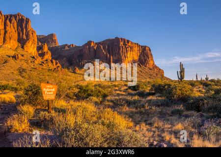 Una strada d'ingresso che va a Tonto National Forest, Arizona Foto Stock