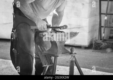 Farrier che lavora sulla racchina calda di un cavallo nel Regno Unito. Martellare i chiodi dalla vecchia scarpa su un'incudine. Foto Stock