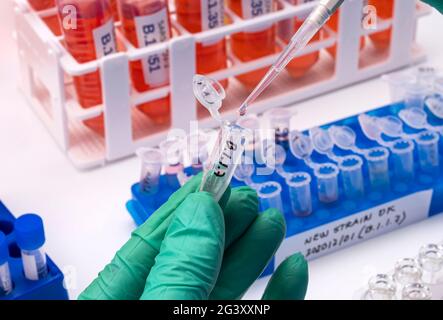 Ricerca di laboratorio nuovo ceppo di sars-COV-2 britannico scientificamente chiamato VOC 202012/01 (B.1.1.7), quadro concettuale Foto Stock