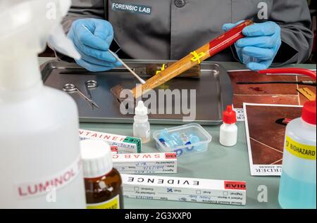 Uno scienziato della polizia estrae il campione di DNA da un paio di martelli in un laboratorio di criminalità, immagine concettuale Foto Stock