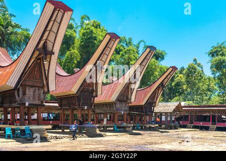 Granai di riso chiamato Alang nella piazza cerimoniale di un villaggio in Tana Toraja Foto Stock