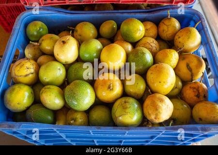 Primo piano di frutta fresca di passione, Passiflora edulis, in un'industria agricola la foresta amazzonica. Cibo, ecologia, ambiente, biodiversità, agricoltura. Foto Stock