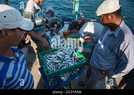 I pescatori con le loro catture sul molo, vicino a Duong Dong, Phu Quoc Island, Kien Giang, Vietnam, Asia Foto Stock