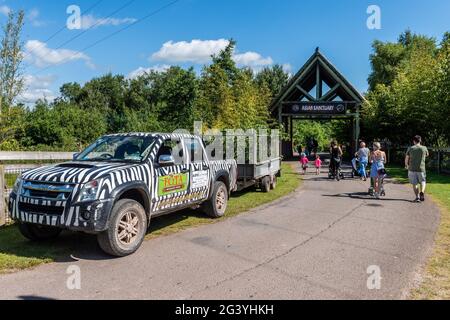 Cobh, Contea di Cork, Irlanda. 18th giugno 2021. Il tempo soleggiato ha portato molti visitatori al FOTA Wildlife Park di Co. Cork oggi. Credit: AG News/Alamy Live News. Foto Stock