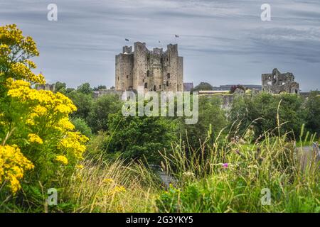 Vecchio, rovinato Trim Castle dal 12 ° secolo Foto Stock