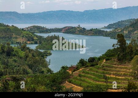 Vista sulla baia e la penisola del lago Kivu, vicino a Gitesi, Provincia Occidentale, Ruanda, Africa Foto Stock