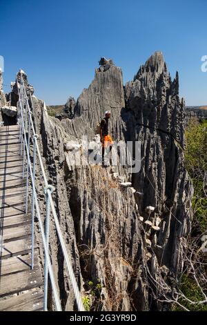 Paesaggio carsico Tsingy de Bemaraha, Parco Nazionale di Tsingy-de-Bemaraha, ponte sospeso, Mahajanga, Madagascar, Africa Foto Stock