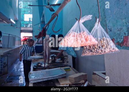 Primo piano di borse con gamberi e pesce crudo al mercato interno comunale a Merida, Messico. Nello sfondo offuscato commercianti e acquirenti Foto Stock