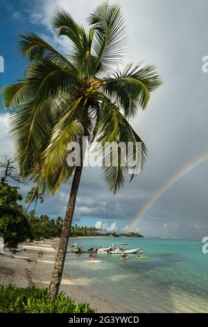 Palme da cocco e sport acquatici al Sofitel Ia ora Beach Resort con arcobaleno sulla laguna di Moorea, Moorea, Windward Islands, Polinesia francese, Foto Stock