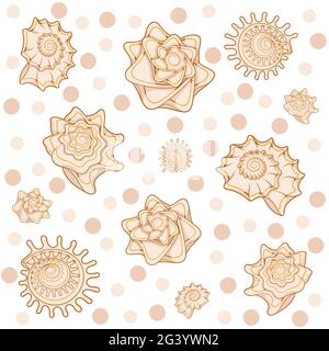 Pattern vettoriale senza giunture con conchiglie. Illustrazione Vettoriale