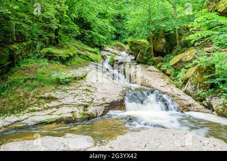 Wildbach nell'alta Mühlviertel, Austria Foto Stock