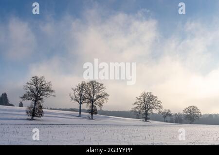 Paesaggio culturale innevato nella Fünfseeenland tra il Lago Starnberg e Ammersee, Baviera, Germania Foto Stock