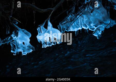 Cristalli di ghiaccio su radici e rami in un torrente nel Westerwald, Germania Foto Stock