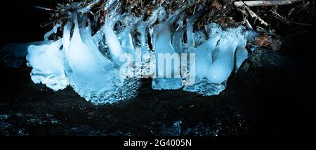 Cristalli di ghiaccio su radici e rami in un torrente nel Westerwald, Germania Foto Stock