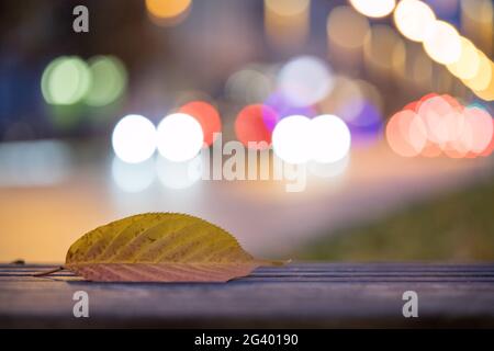 Foglia colorata in primo piano, puntini chiari sullo sfondo. Sera. Foto Stock